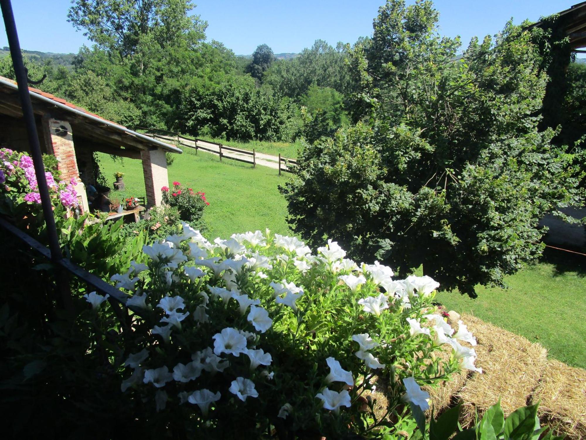 Agriturismo La Tilia Lequio Tanaro Exterior foto